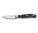 forged paring knife, 8 cm, in gift box