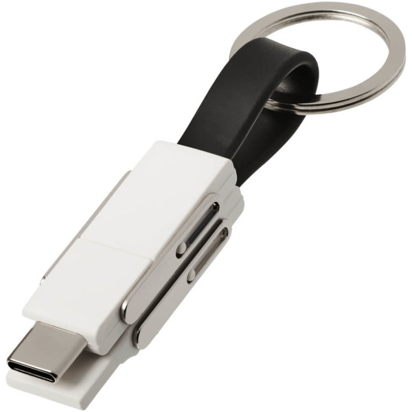 Ein 4-in-1-Kabel