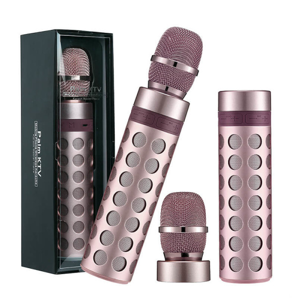 KARAOKE BLUETOOTH-LAUTSPRECHER MIT MIKROFON