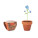 FORGET ME NOT - mo6146-40 - variant Mo MO6146-40