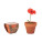 RED POPPY - mo6148-40 - variant Mo MO6148-40