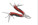 SCHWARZWOLF ARMADOR NEW Kombiwerkzeug - f2400403aj3_b - variant I F2400403AJ3