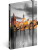 NOTIQUE Notes Praha, linajkovaný, 13 x 21 cm