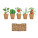 SALAD - mo6499-13 - variant Mo MO6499-13