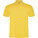 Austral Unisex-Poloshirt mit kurzen Ärmeln - R66321B - variant PF R66321B1