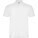 Austral Unisex-Poloshirt mit kurzen Ärmeln - R66321Z - variant PF R66321Z1