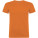 Beagle-Kurzarm-T-Shirt für Kinder - K65543I - variant PF K65543IC