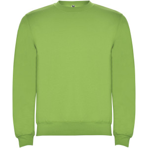 Klassischer Unisex-Pullover mit Rundhalsausschnitt - Reklamnepredmety