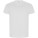 Goldenes Herren-T-Shirt mit kurzen Ärmeln - R66901Z - variant PF R66901Z1