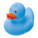 Blankenberge-Ente - 230824_0 - variant Eg 230824