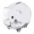 Leicester-Schwein - 623566_1 - variant Eg 623566