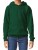 Softstyle Midweight Fleece-Kapuzenpullover für Kinder - 205-09-541-f-2024-01jpg-l - variant 