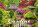 Kalender Gardens