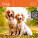 Kalender Dogs