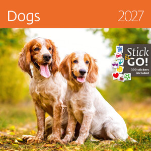 Kalender Dogs - Reklamnepredmety