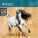 Kalender Horses