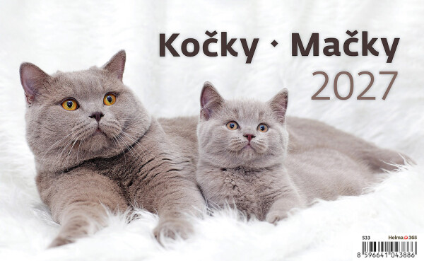 Kalender Katzen
