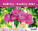 Kalender Blumen
