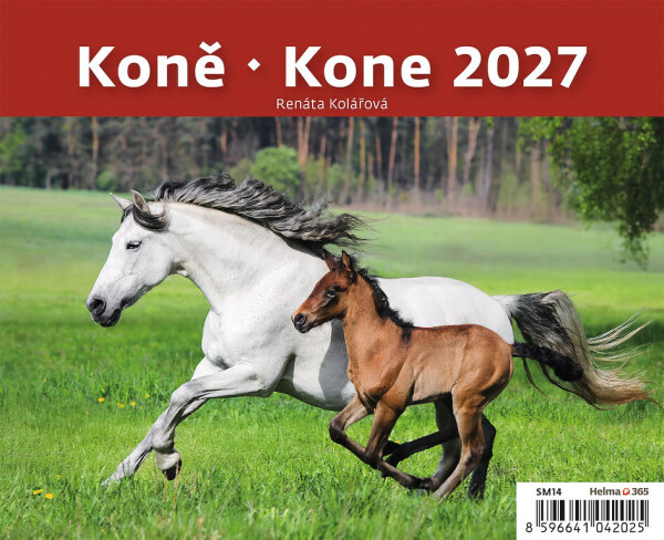 Kalender Pferde
