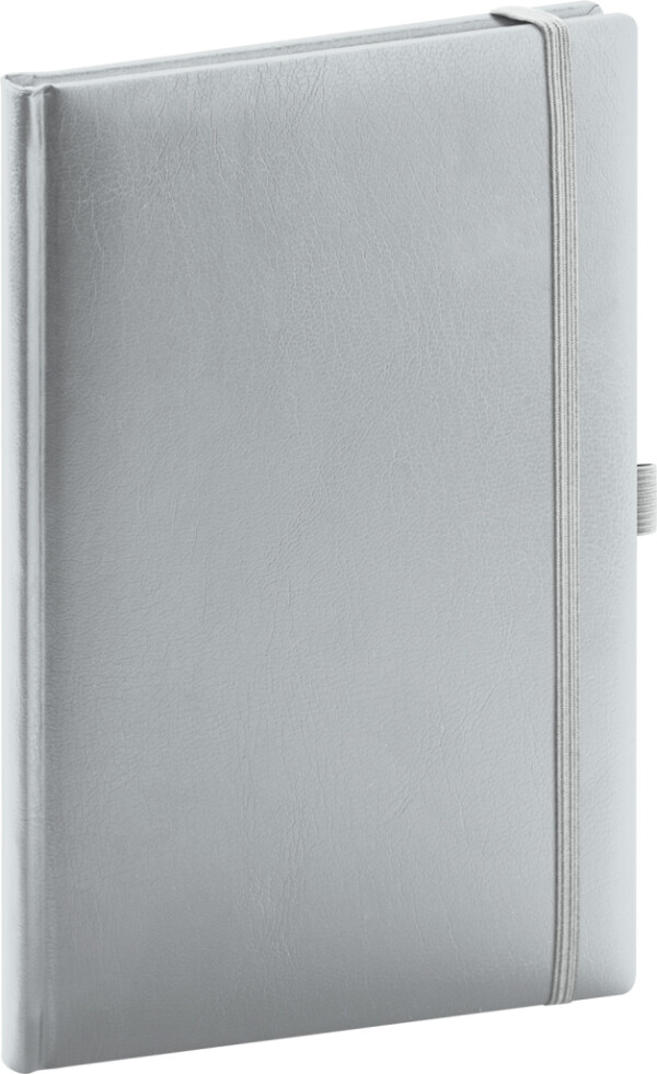 NOTIQUE Notizen Balacron, burgunderrot, liniert, 15 x 21 cm