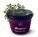 Cranberry-Marmelade - s045010 - variant 