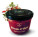Erdbeermarmelade mit Chili - s045012 - variant 