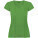 Victoria Damen-T-Shirt mit kurzen Ärmeln und V-Ausschnitt - R66465U - variant PF R66465U1