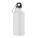 REMID MOSS - mo2403-06 - variant Mo MO2403-06