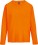 Damen T-Shirt langarm - ps-254443-sol-s-monarch-women-orange-front-web - variant 