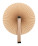 Lolli-Fan