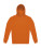 ID.223 Hoodie