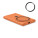 PAWTT - mo2442-10 - variant Mo MO2442-10