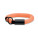 POLLY - mo2497-10 - variant Mo MO2497-10
