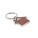 LOUSE - mo2538-01 - variant Mo MO2538-01