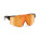 SHINE - mo2544-10 - variant Mo MO2544-10