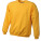 JN040 Round Sweat Heavy - JN040-Gold-Yellow - variant Ls 1000085453