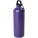 750 ml Oregon einwandige Edelstahl-Trinkflasche mit RCS-Zertifizierung und Karabiner - 10086137 - variant PF 10086137