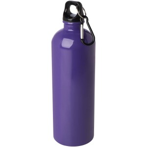 750 ml Oregon einwandige Edelstahl-Trinkflasche mit RCS-Zertifizierung und Karabiner - Reklamnepredmety