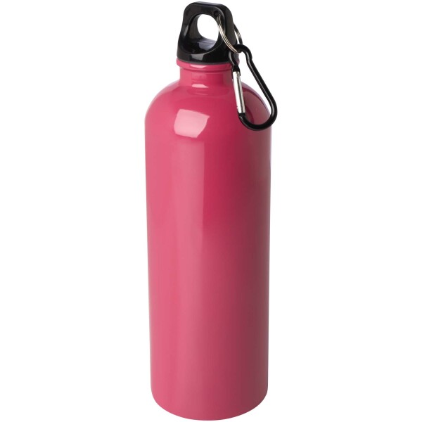 750 ml Oregon einwandige Edelstahl-Trinkflasche mit RCS-Zertifizierung und Karabiner