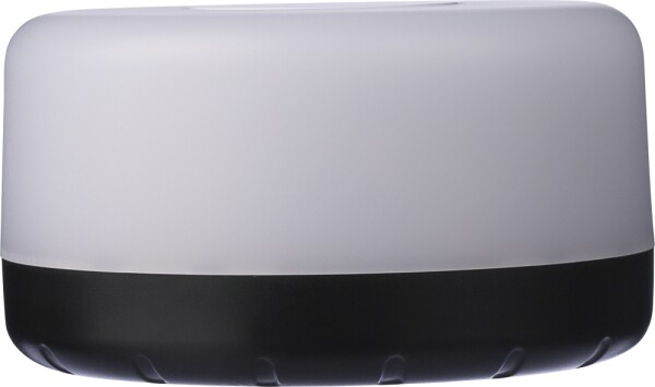 ABS light