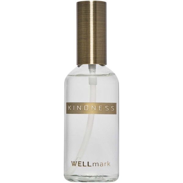 Wellmark Lufterfrischer 100 ml