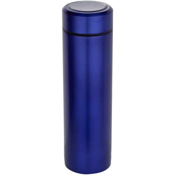 Taylor 450 ml Doppelwand Isolierflasche aus Edelstahl mit Teesieb