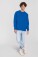 Schwerer Sweater Iconic Premium Set-In Sweat - pr-162282-f-o-l-iconic-premium-set-in-sweat-royal-blue-front-0af13440-42ec-42b7-bb29-0dfcae14fbe2-web - variant 