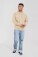 Sweater Iconic 250 Set-In Sweat - pr-162292-f-o-l-iconic-250-set-in-sweat-desert-sand-front-13798220-7ca1-436a-8dba-442d0a335c7d-web - variant 