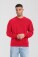 Sweater Iconic 250 Set-In Sweat - pr-162292-f-o-l-iconic-250-set-in-sweat-red-front-be27f740-1634-4751-b6b5-117c5af37715-web - variant 