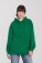 Kapuzen Sweater - Iconic 250 Hooded Sweat - pr-162294-f-o-l-iconic-250-hooded-sweat-college-green-front-12035424-b1b4-440a-9e4e-319f528394d9-web - variant 