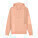 Cruiser 2.0 Unisex-Hoodie - stsu177-fraichepeche_packshot_main_front - variant Eg STSU177C101XS