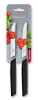 Victorinox Swiss Modern Sada 2 nožov na paradajky a steaky 11 cm