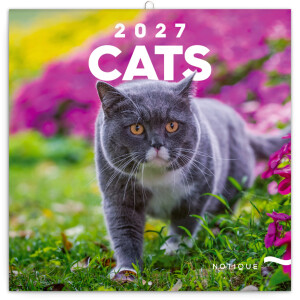 NOTIQUE Notizblock Katzen 2027, 30 x 30 cm - Reklamnepredmety