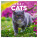 NOTIQUE Notizblock Katzen 2027, 30 x 30 cm - pgp-36310-z_tit - variant Pg PGP-36310-Z
